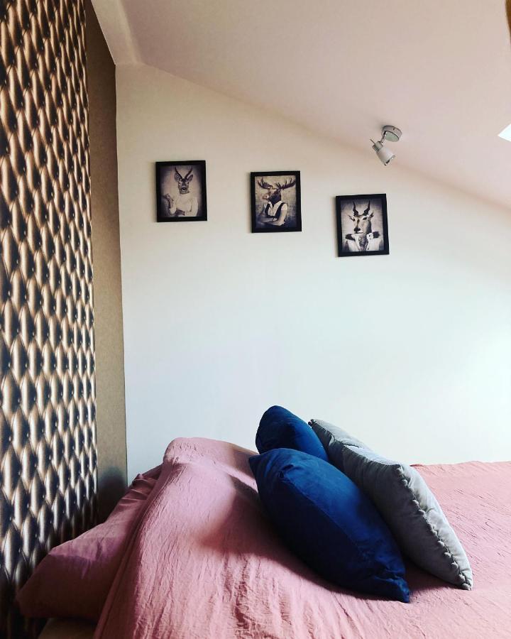 Le Carrosse, La Diligence, Centre Saint Jean De Losne Tarif 2Pers 1 Chambre, Tarif 4 Pers 2 Chambres Εξωτερικό φωτογραφία